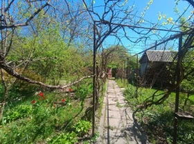 ділянка під житлову забудову Фастівський, Хлепча, Касіора