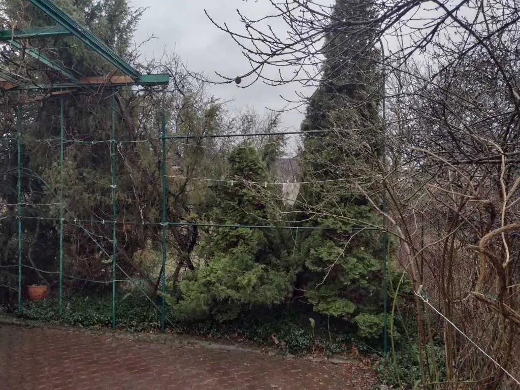 3-к дача Бучанський, Пороскотень, Бузкова 17