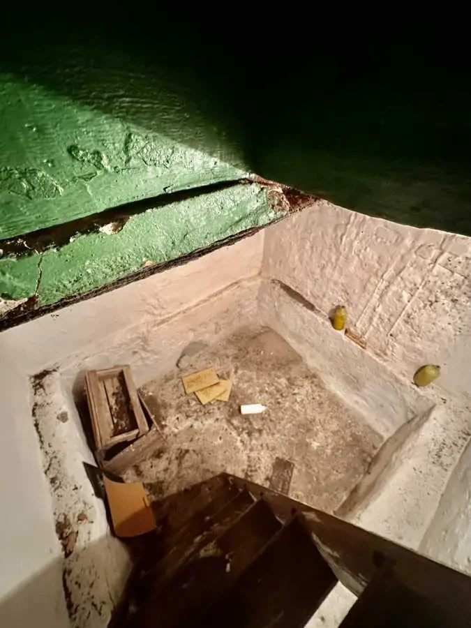 2-к будинок Бучанський, Плахтянка, Шевченка 1 20