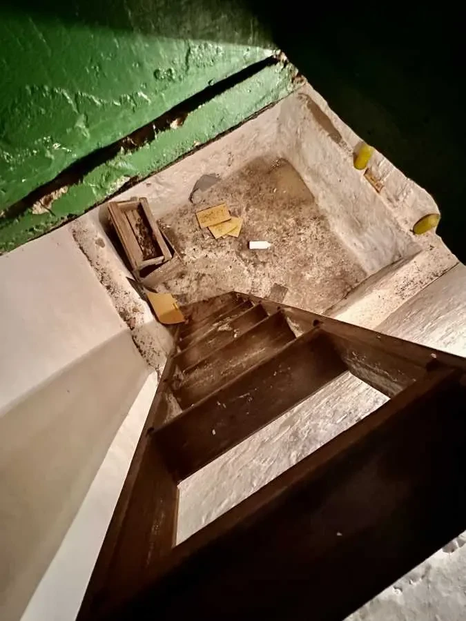 2-к будинок Бучанський, Плахтянка, Шевченка 1 19