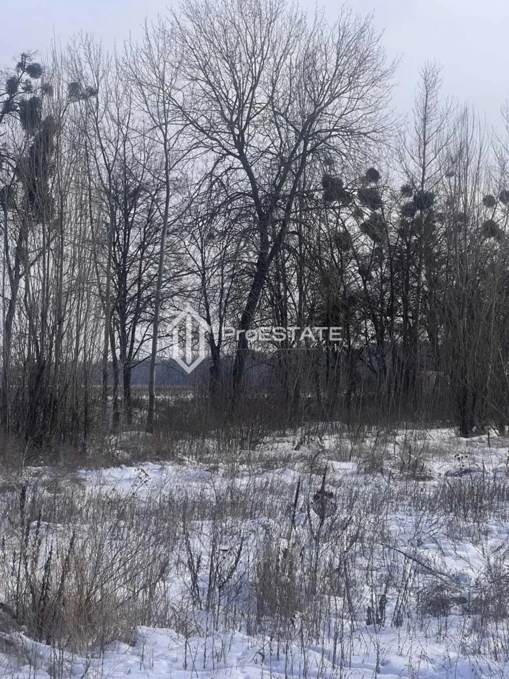 ділянка сільськогосподарського призначення Бориспільський, Гнідин, П.. 3