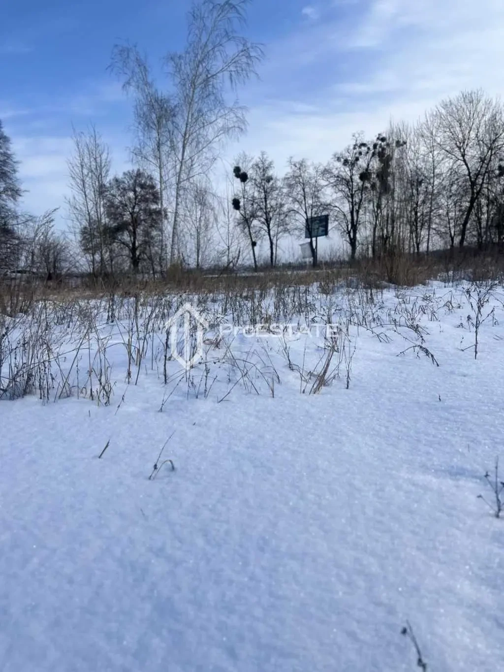 ділянка сільськогосподарського призначення Бориспільський, Гнідин, П.. 7
