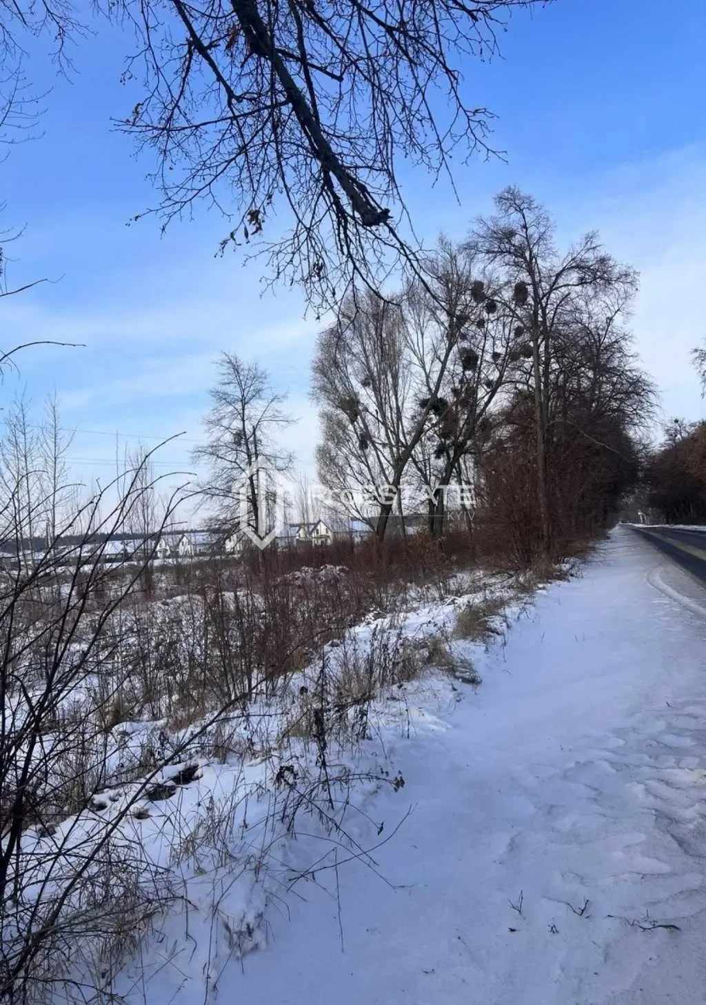 ділянка сільськогосподарського призначення Бориспільський, Гнідин, П.. 9