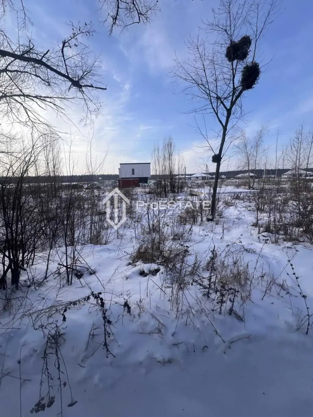 ділянка сільськогосподарського призначення Бориспільський, Гнідин, П.. 11