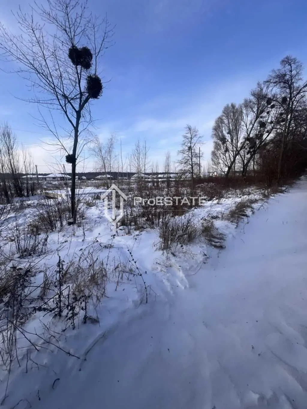 ділянка сільськогосподарського призначення Бориспільський, Гнідин, П.. 14