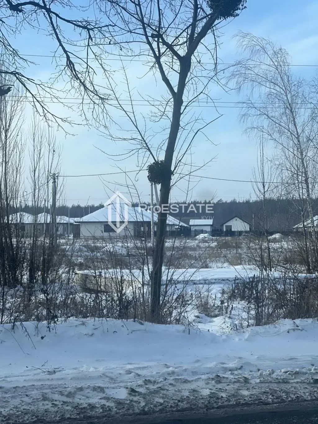 ділянка сільськогосподарського призначення Бориспільський, Гнідин, П.. 16