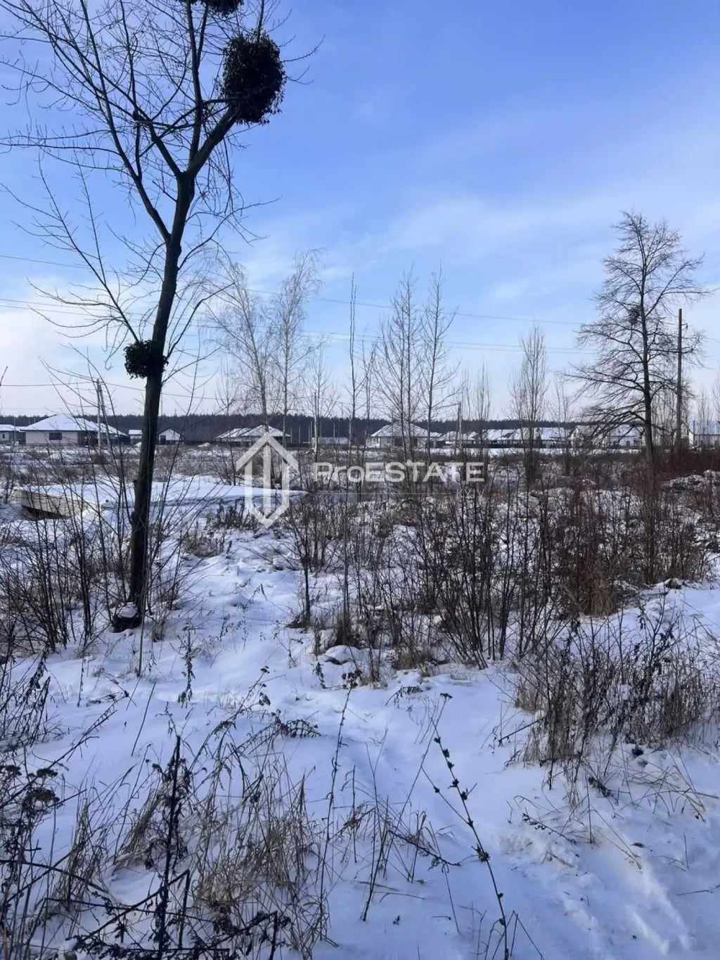 ділянка сільськогосподарського призначення Бориспільський, Гнідин, П.. 18