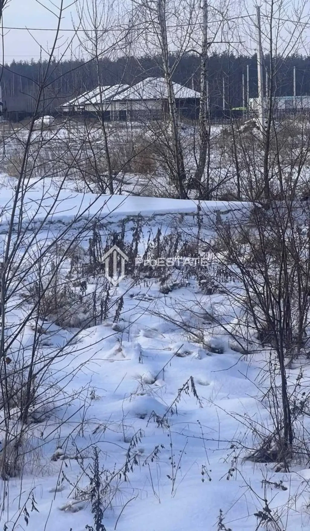 ділянка сільськогосподарського призначення Бориспільський, Гнідин, П.. 19