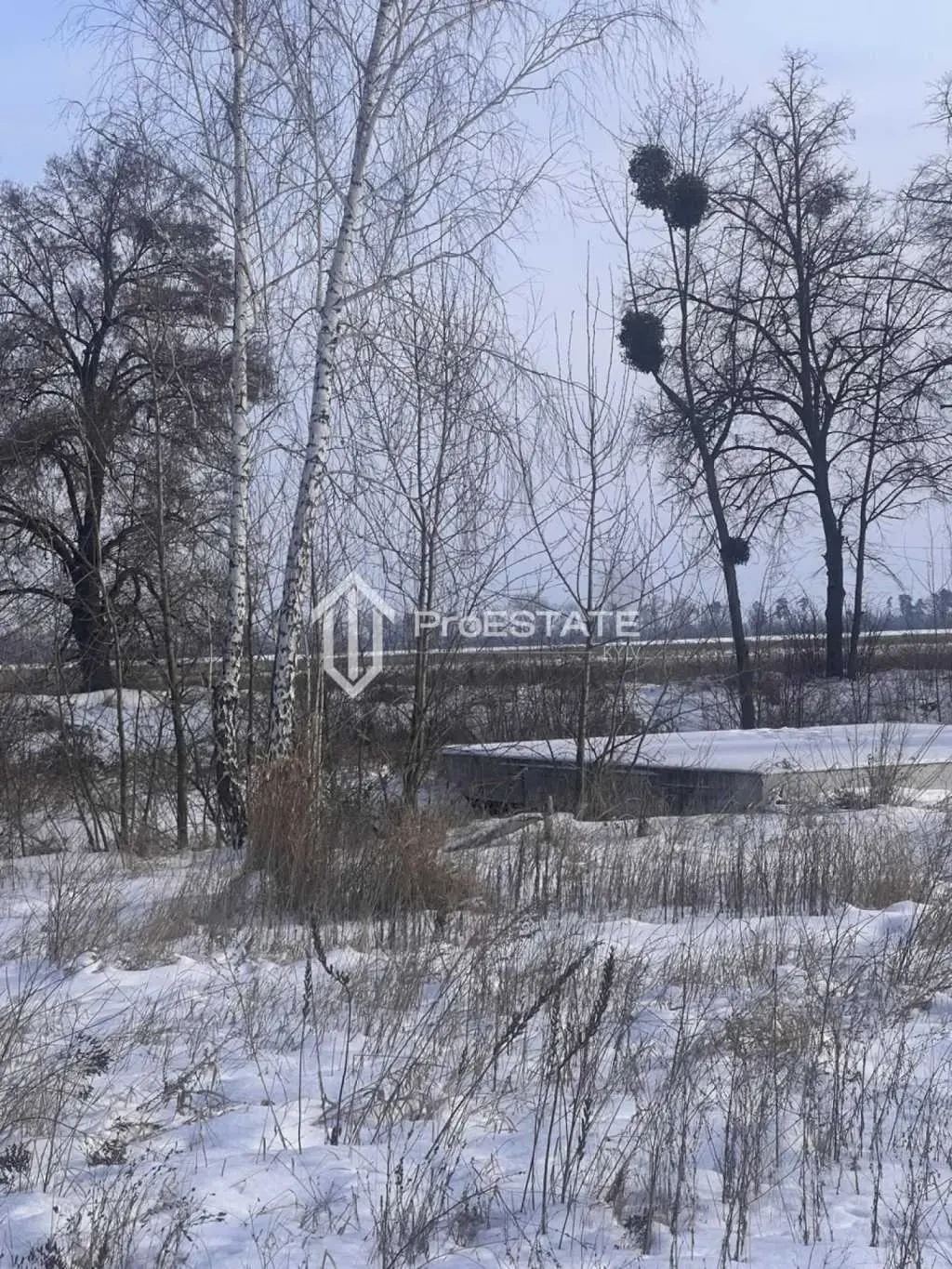 ділянка сільськогосподарського призначення Бориспільський, Гнідин, П.. 20