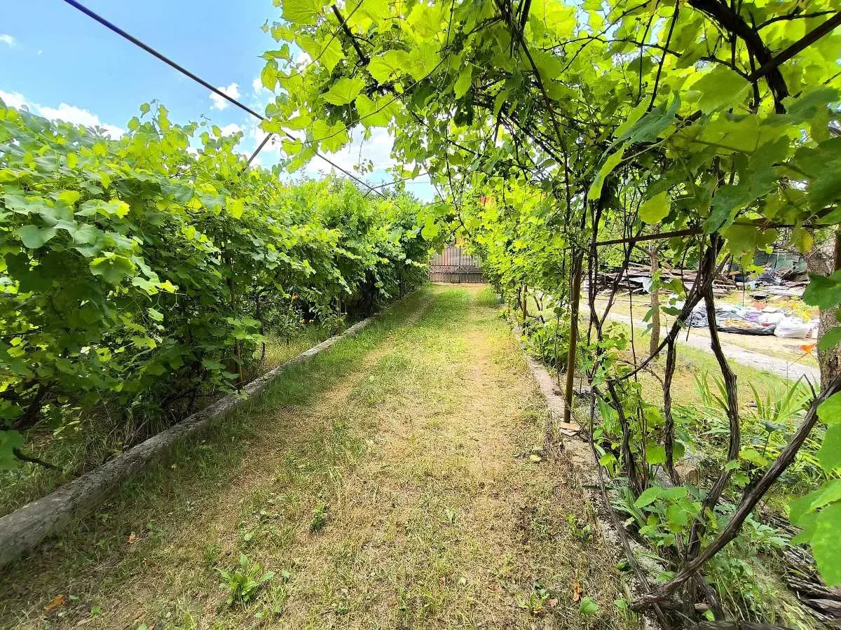 6-к дача Бучанський, Миколаївка, миколаївська 2