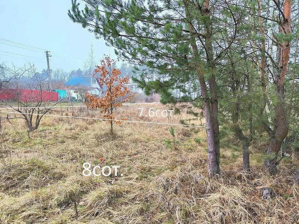 ділянка під житлову забудову Бучанський, Миколаївка, Миколаївська 17