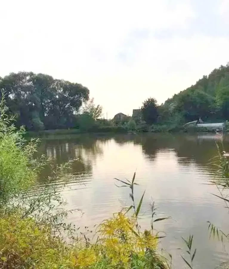 ділянка під житлову забудову Бучанський, Миколаївка, Миколаївська 3