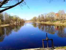 ділянка під житлову забудову Бучанський, Миколаївка, Миколаївська