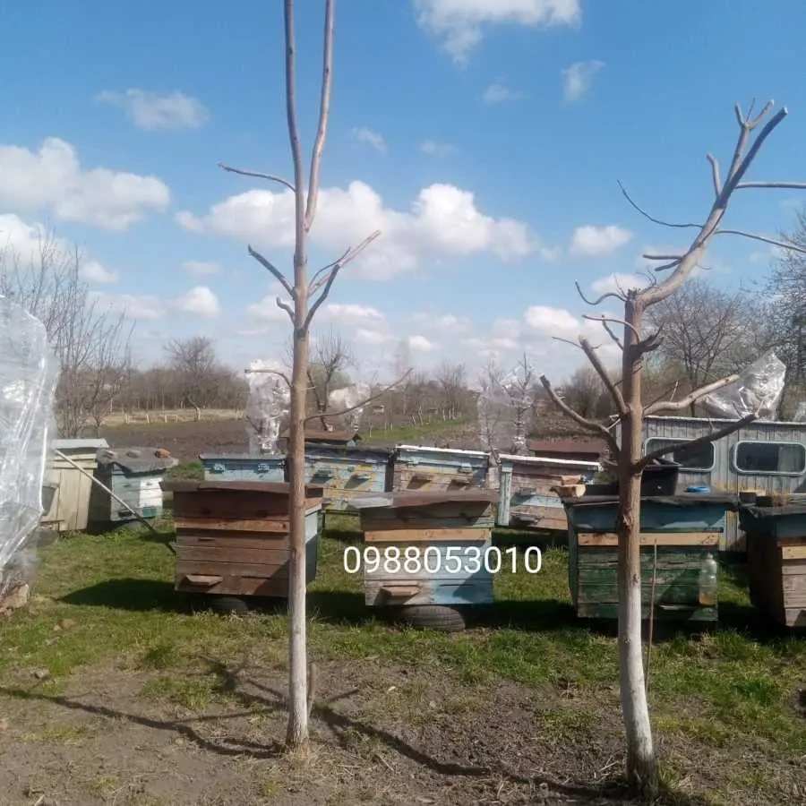 4-к будинок Радехівський, Ястребичі, Завірна 12а 9