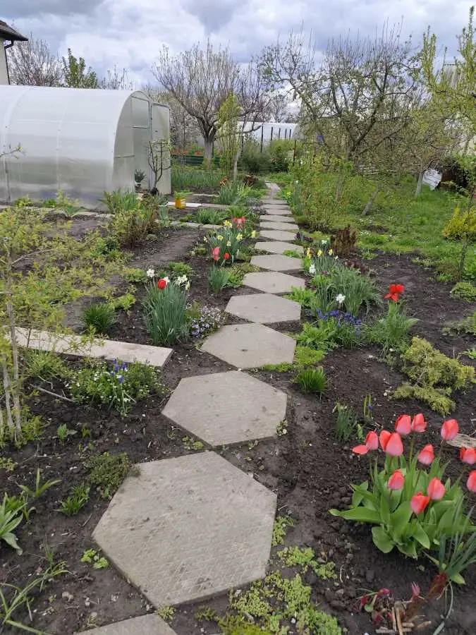 5-к будинок Дніпро, Новокодакський, Большая Диевская 380 21