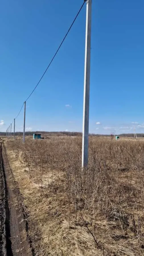 ділянка сільськогосподарського призначення Білоцерківський, Біла Цер..