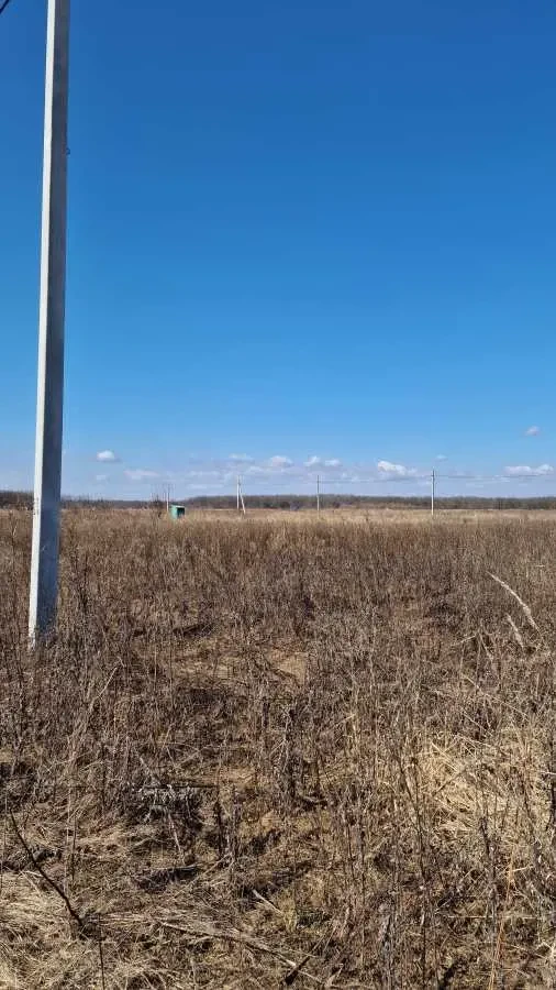 ділянка сільськогосподарського призначення Білоцерківський, Біла Цер.. 2