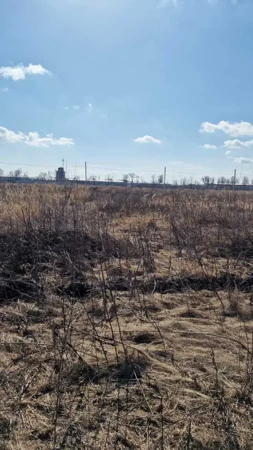 ділянка сільськогосподарського призначення Білоцерківський, Біла Цер.. 5