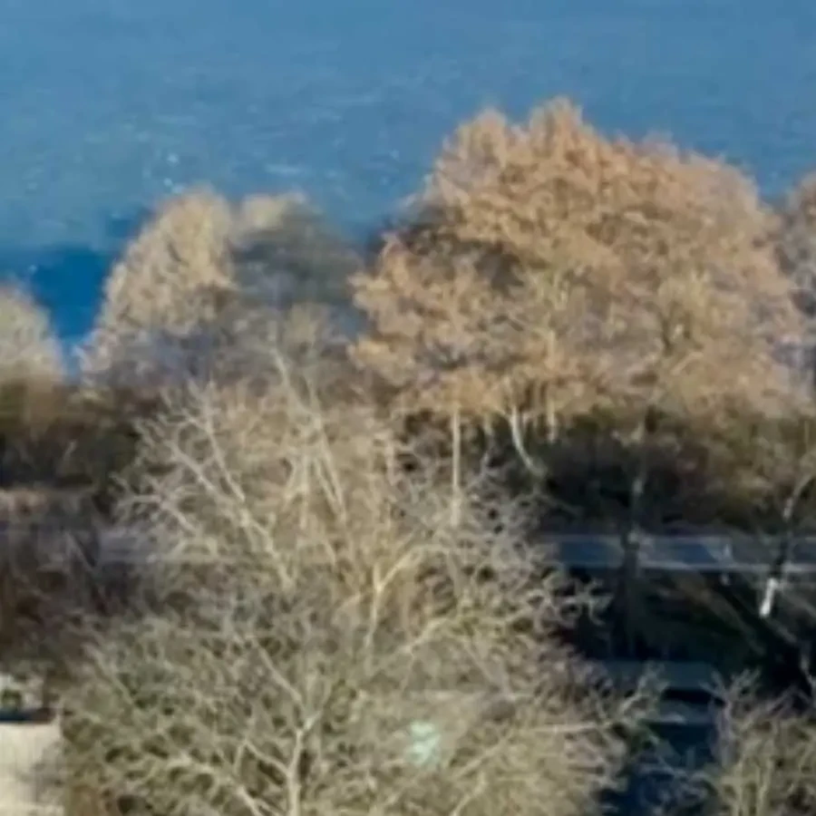 3-к будинок Київ, Дарницький, Березнева 3