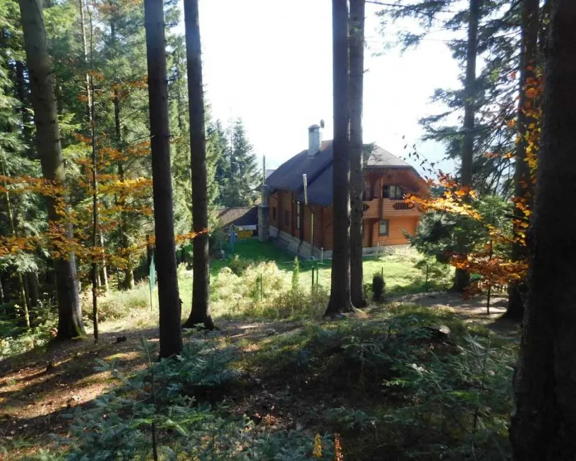 7-к будинок Борислав, Східниця, Бориславська 37 6