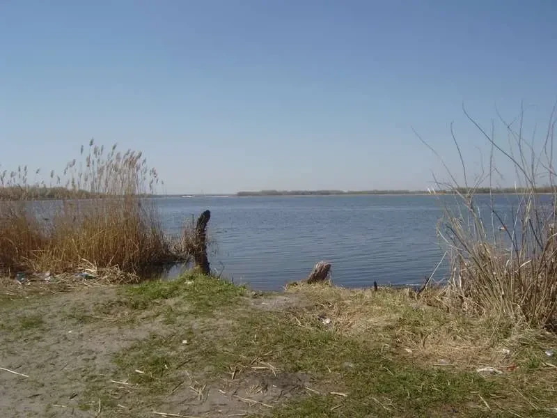 ділянка під житлову забудову Бориспільський, Проців, Центральная