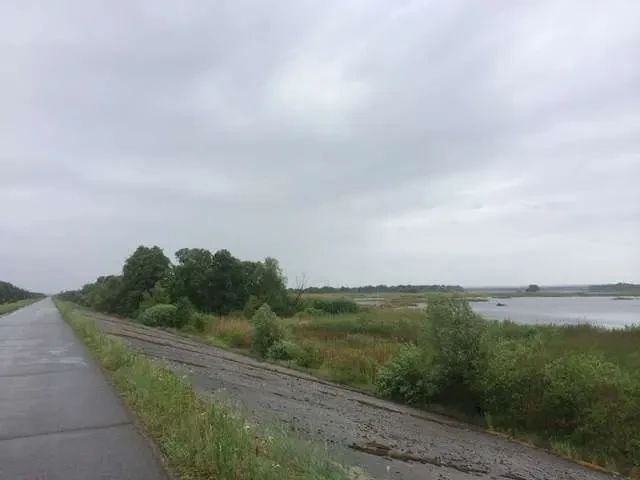 ділянка під житлову забудову Бориспільський, Проців, Центральная 4
