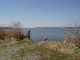 ділянка під житлову забудову Бориспільський, Проців, Центральная