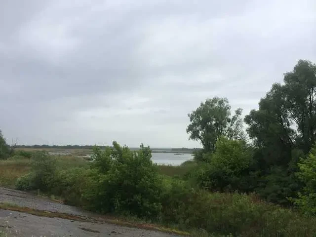 ділянка під житлову забудову Бориспільський, Проців, Центральна 2