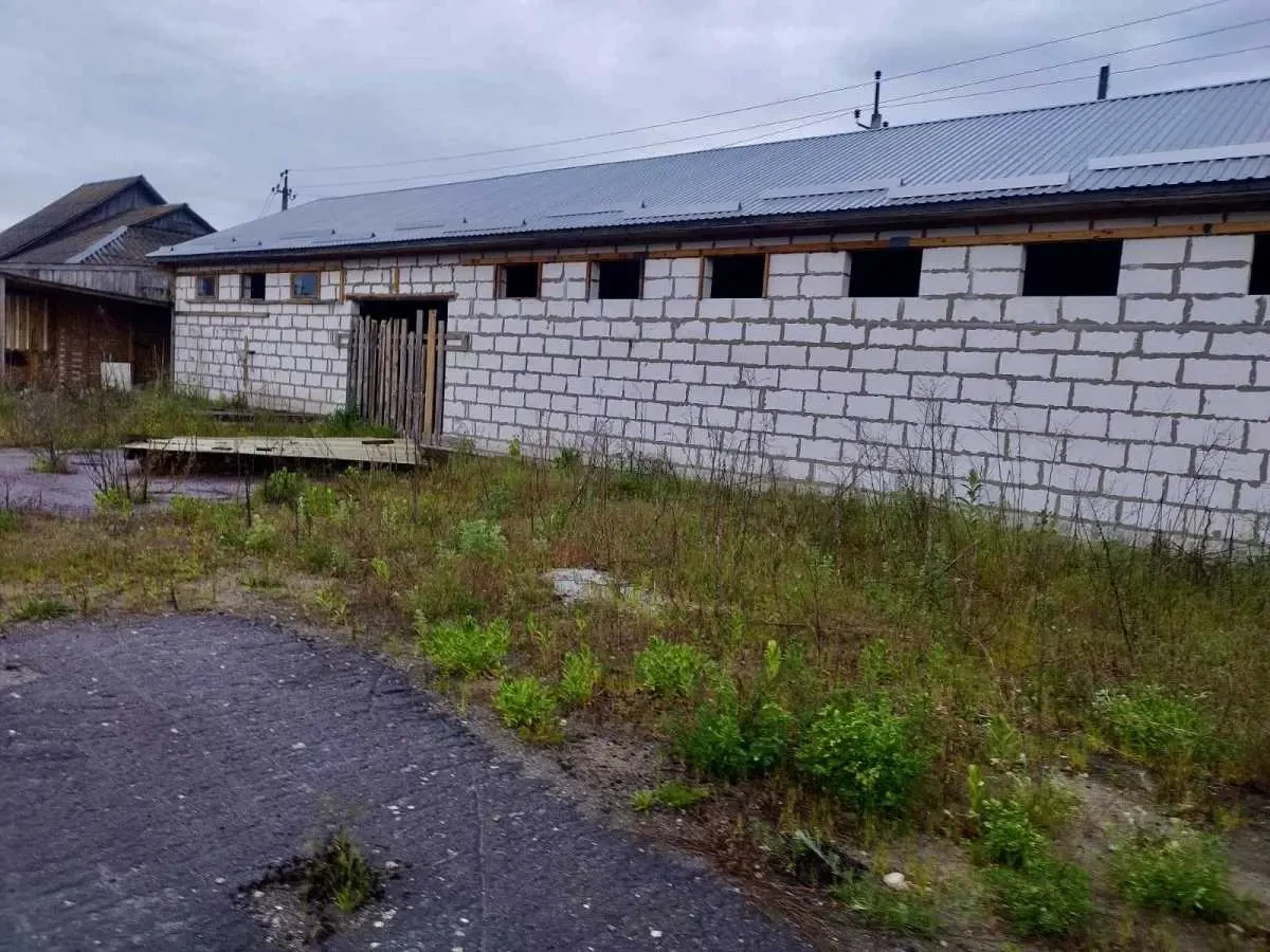 виробничі приміщення Вишгородський, Жукин, Шевченко 1 5