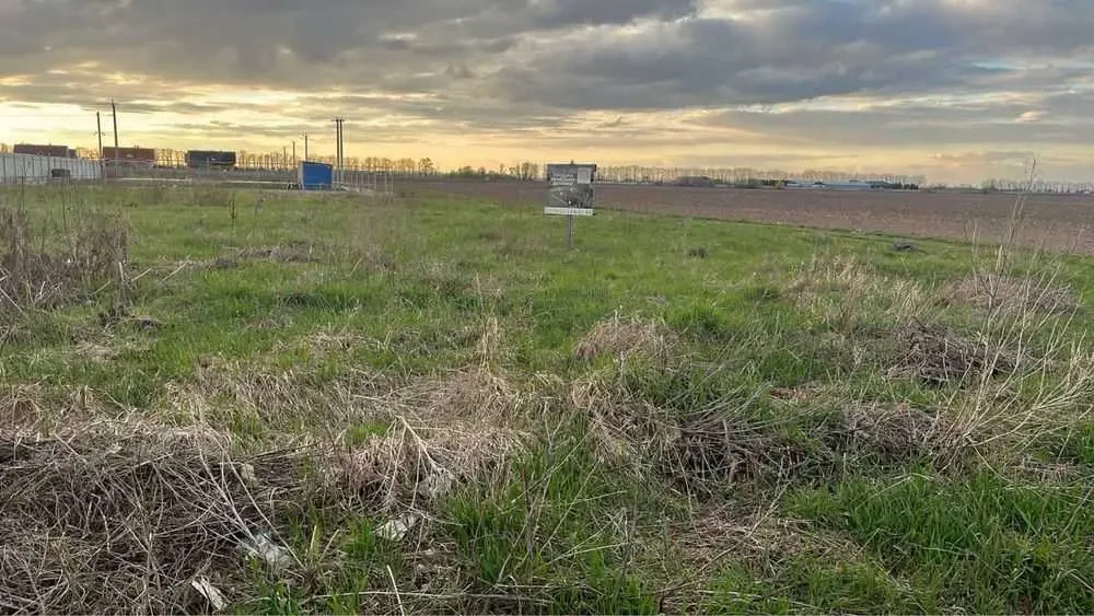 ділянка під житлову забудову Бориспільський, Велика Олександрівка, Ч.. 15