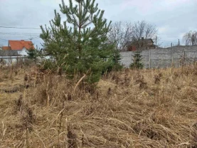 ділянка під житлову забудову Бучанський, Ірпінь, Житомирська