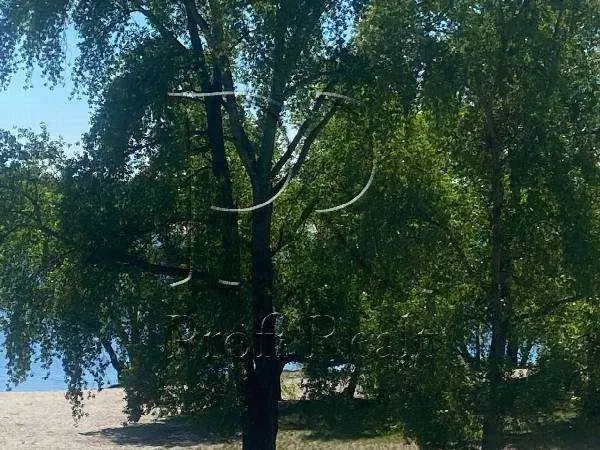 3-к квартира Київ, Оболонський, Прирічна 5 5