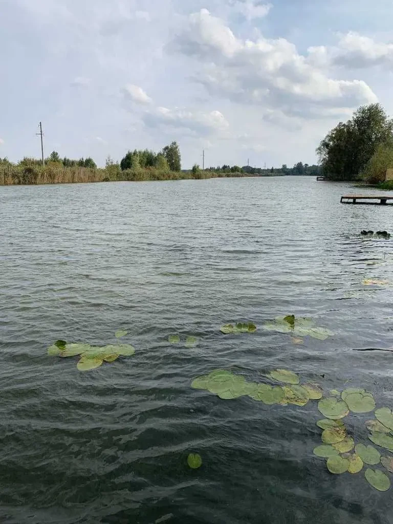 5-к котедж Бориспільський, Проців, Центральна 22