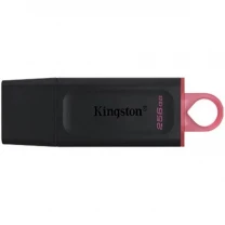 Флеш пам'ять Kingston DataTraveler Exodia 256GB USB 3.2 Black/Pink (DTX/256GB)