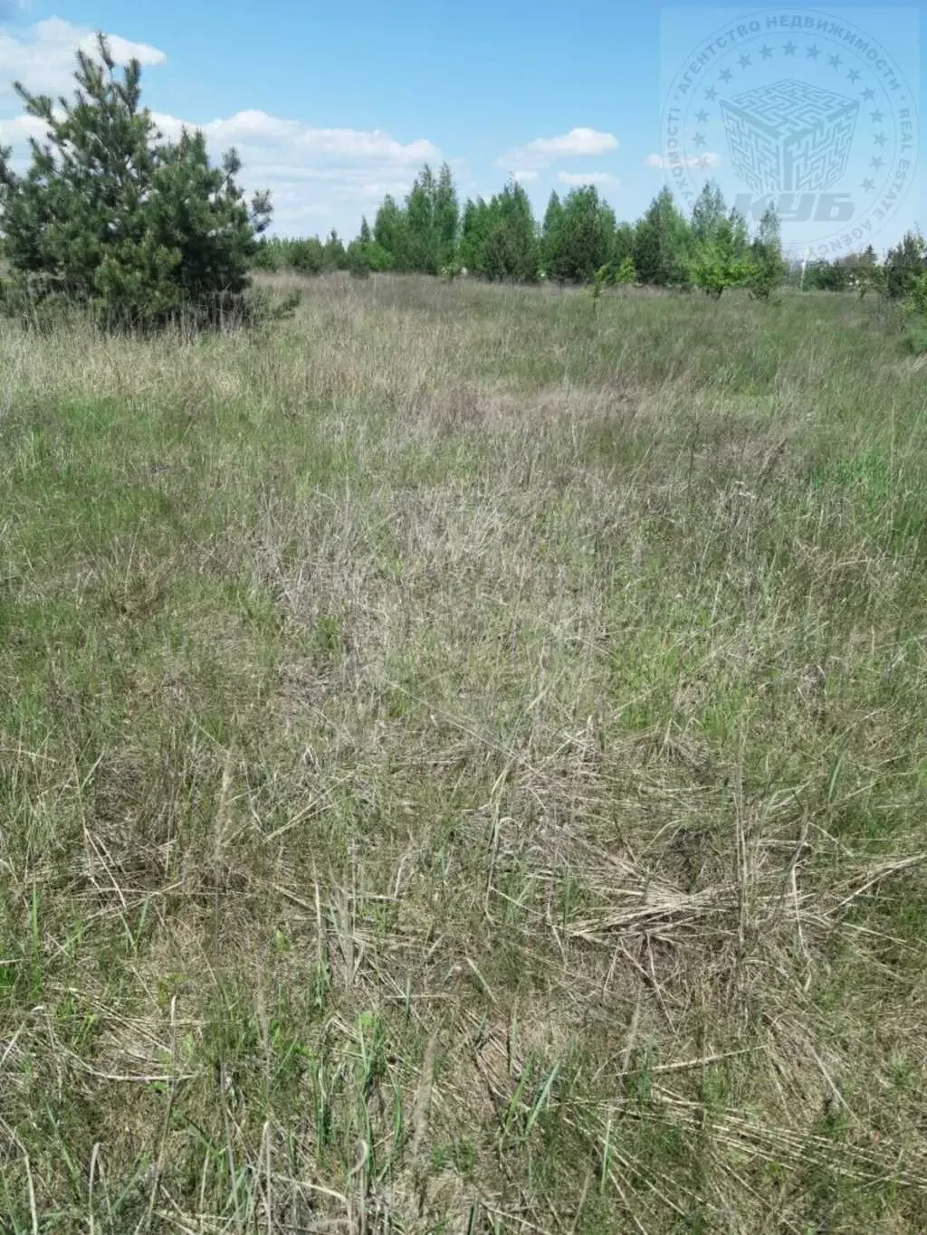 ділянка під житлову забудову Бучанський, Блиставиця, Космічна вул. 4 3