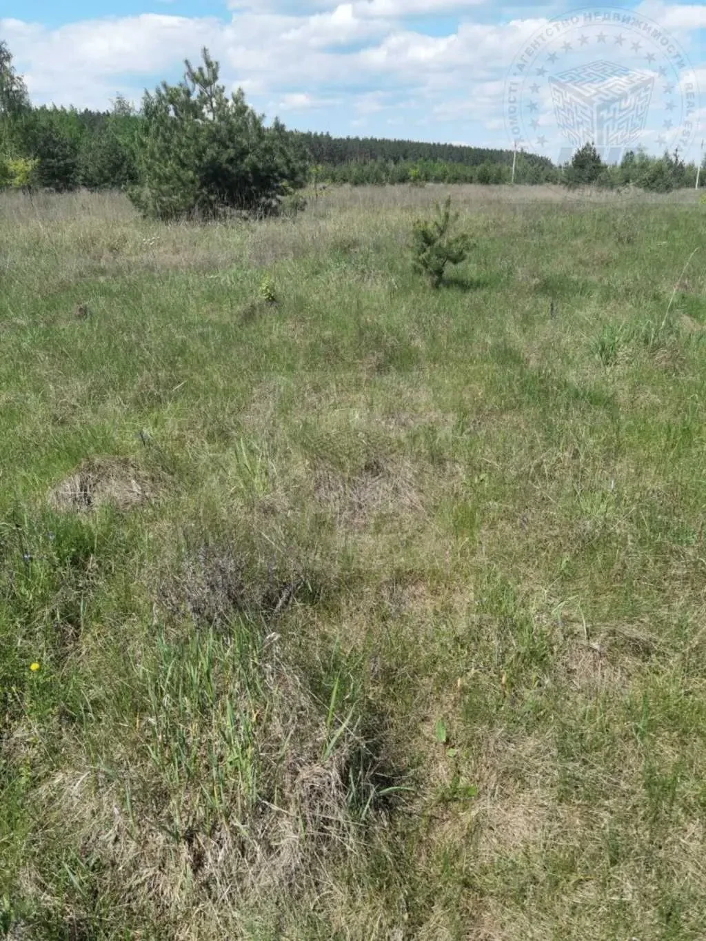 ділянка під житлову забудову Бучанський, Блиставиця, Космічна вул. 4 6