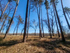 ділянка під житлову забудову Обухівський, Козин, Соловьяненко Анатолия
