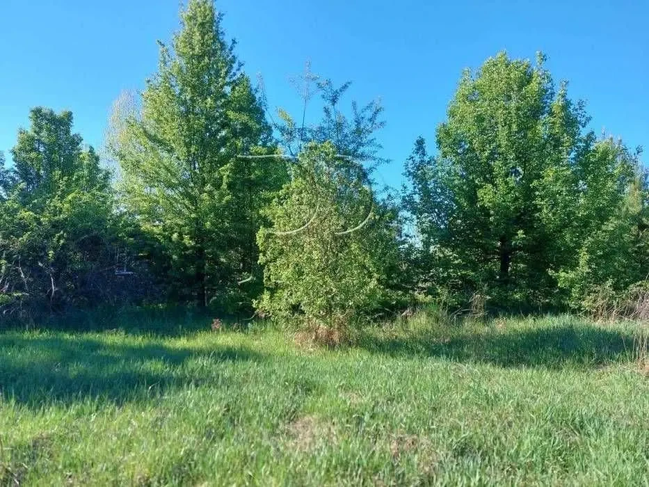 ділянка сільськогосподарського призначення Вишгородський, Хотянівка,.. 2