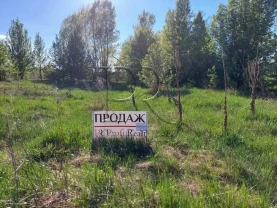 ділянка сільськогосподарського призначення Вишгородський, Хотянівка,..