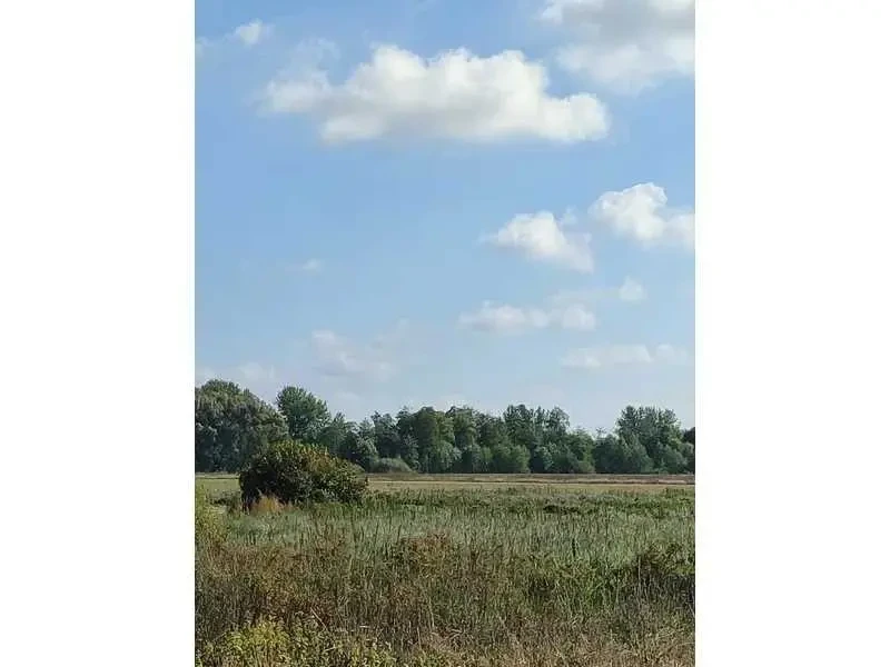 ділянка сільськогосподарського призначення Білоцерківський, Пищіки, .. 3