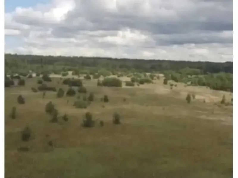ділянка сільськогосподарського призначення Вишгородський, Абрамівка,.. 5