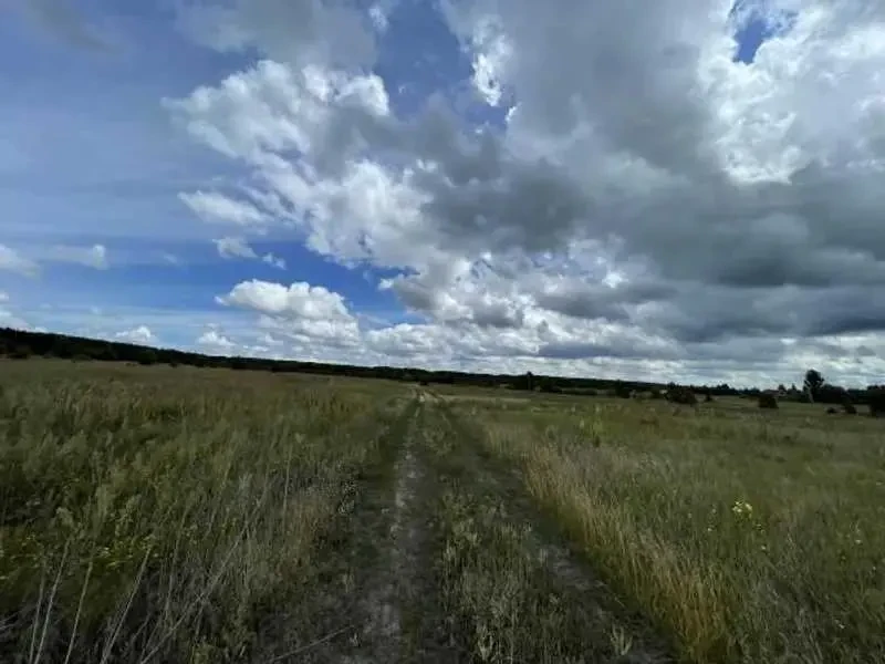 ділянка сільськогосподарського призначення Вишгородський, Абрамівка,..