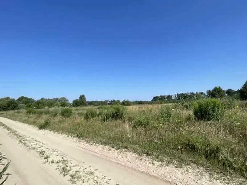 ділянка сільськогосподарського призначення Броварський, Рожівка, Лісна 2