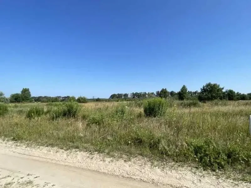 ділянка сільськогосподарського призначення Броварський, Рожівка, Лісна 3