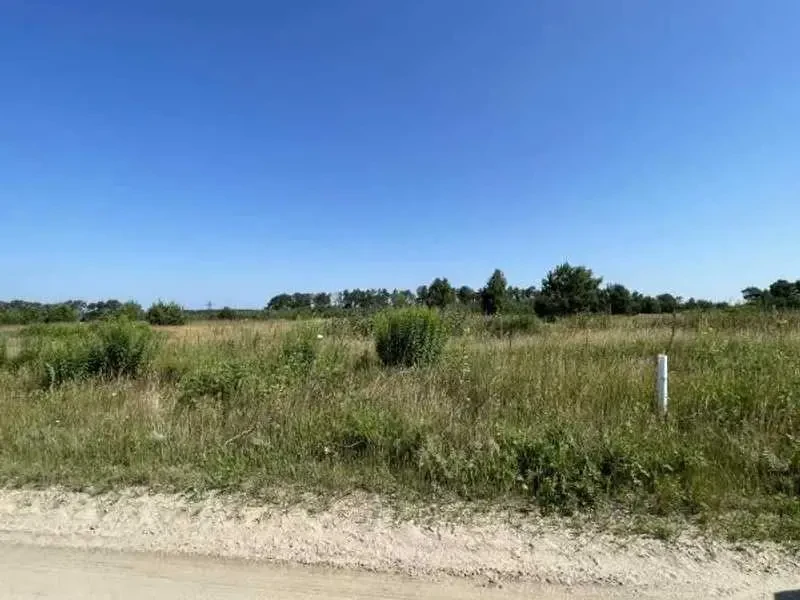 ділянка сільськогосподарського призначення Броварський, Рожівка, Лісна 4