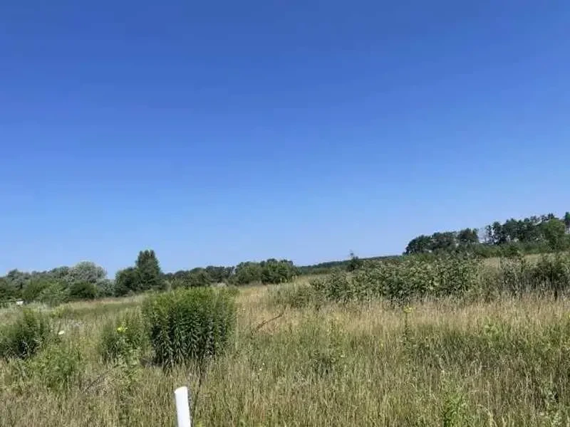 ділянка сільськогосподарського призначення Броварський, Рожівка, Лісна 6