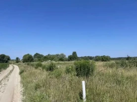 ділянка сільськогосподарського призначення Броварський, Рожівка, Лісна