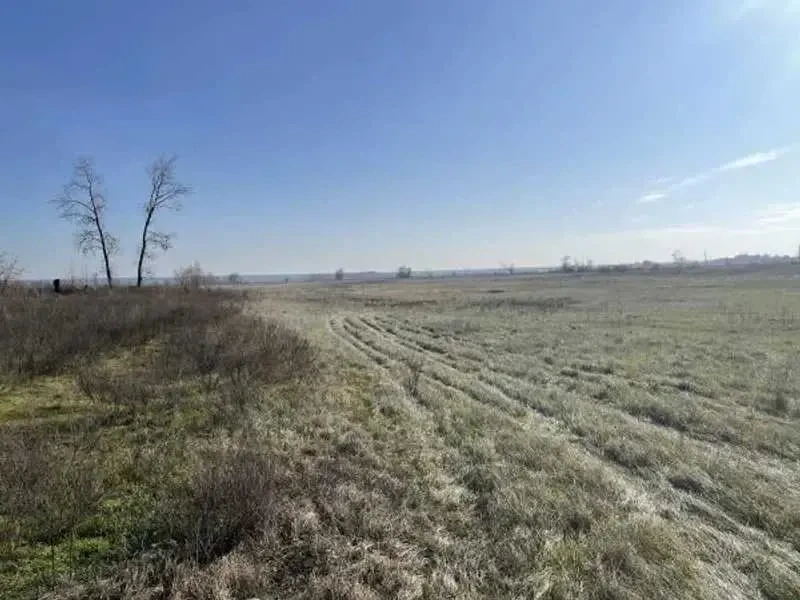 ділянка сільськогосподарського призначення Броварський, Пухівка, Цен.. 3