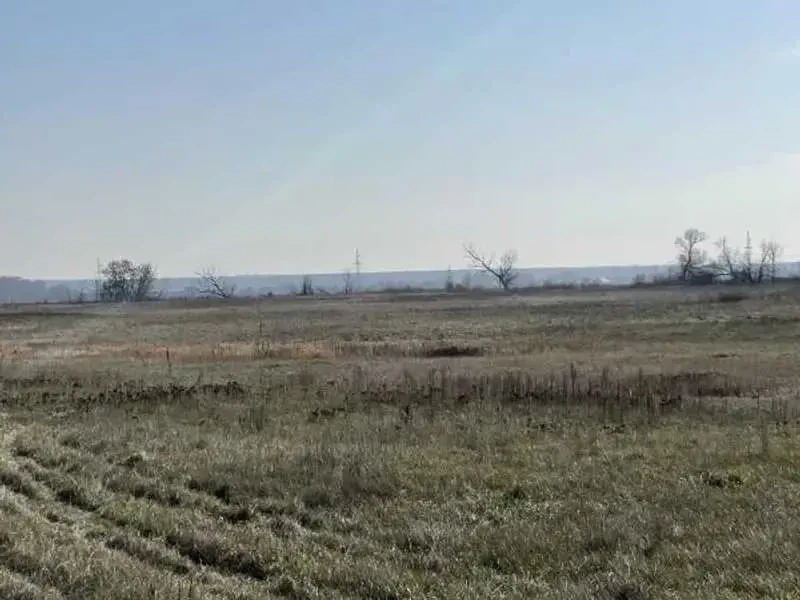 ділянка сільськогосподарського призначення Броварський, Пухівка, Цен.. 4