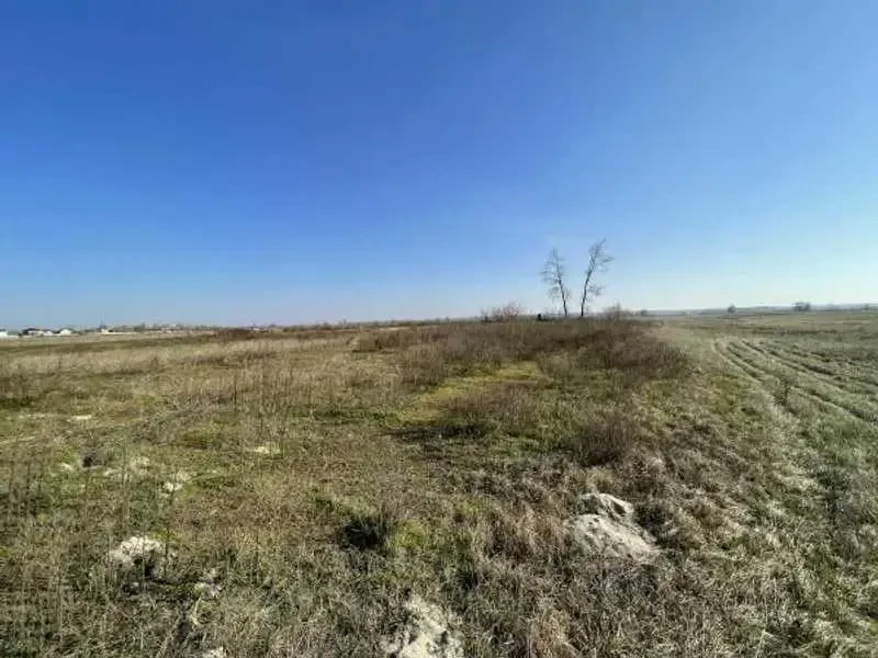 ділянка сільськогосподарського призначення Броварський, Пухівка, Цен..